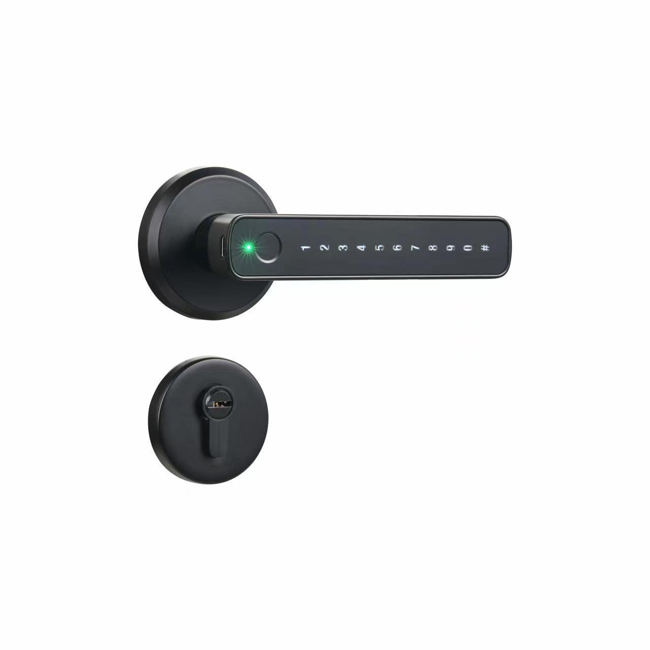 TTlock App Inteligente Entry Biometric Digital Bedroom Gate Handle Tuya Smart Password Finger Print Code Room Home Door Lock