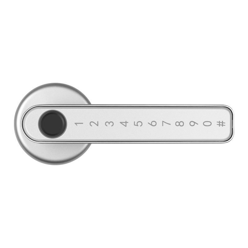 TTlock App Inteligente Entry Biometric Digital Bedroom Gate Handle Tuya Smart Password Finger Print Code Room Home Door Lock