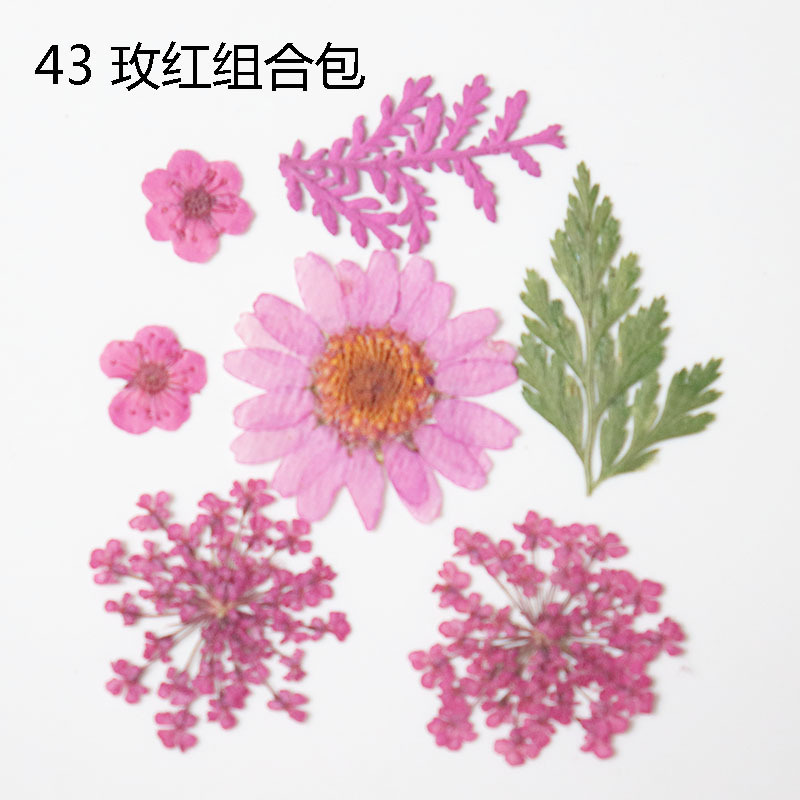 Timesrui Dried Pressed Flowers For Resin, Real Pressed Flowers Dry Leaves Bulk Natural Herbs Kit For Scrapbooks DIY Art Crafts