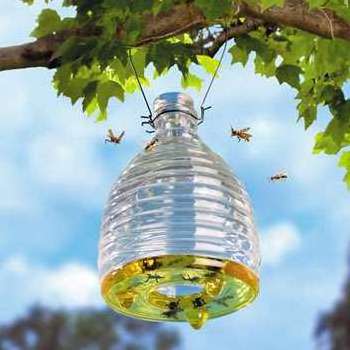 Wholesale Glass Wasp  & Insect Catcher, Wasp Trap