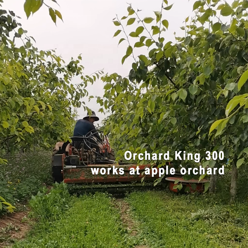 Offset Orchard King 300D vineyard orchard lawn mowers with hydraulic side-shift for sale under tree vine mowing