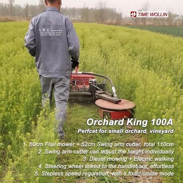 2023 New Swing arm Flail mower walk behind Orchard King 100A orchard under tree mower around tree mower