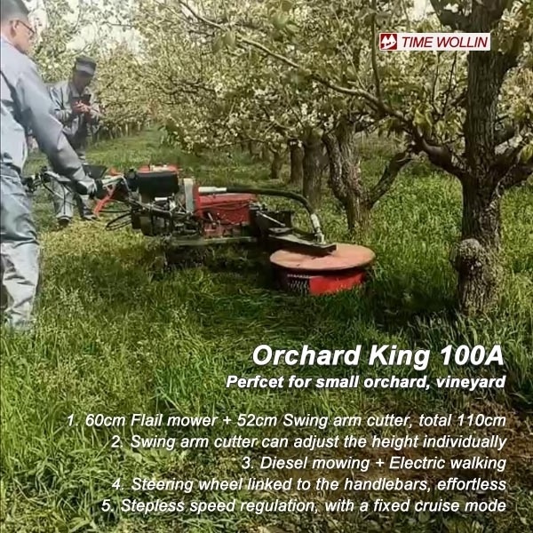 Orchard Swing Arm Flail mower Walk Behind - Vineyard mower undervine mowing machine - Orchard King 100A