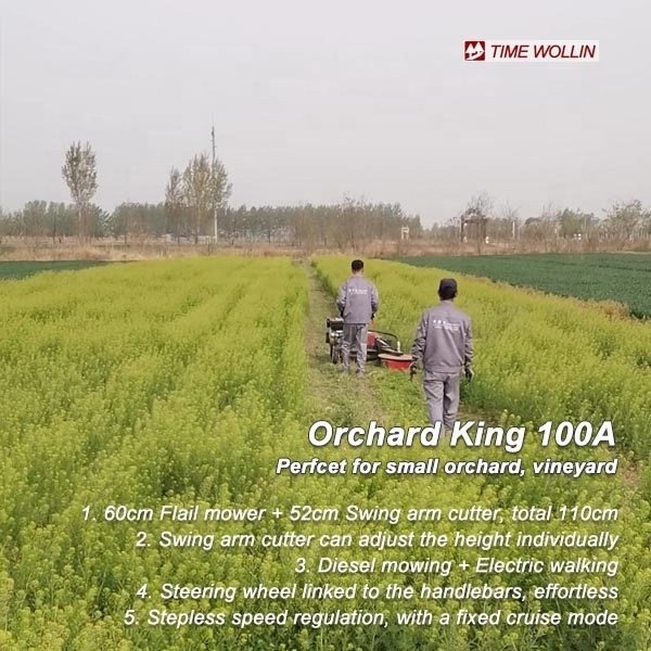 Orchard Swing Arm Flail mower Walk Behind - swing arm self-propelled mower undervine mowing machine - Orchard King 100A