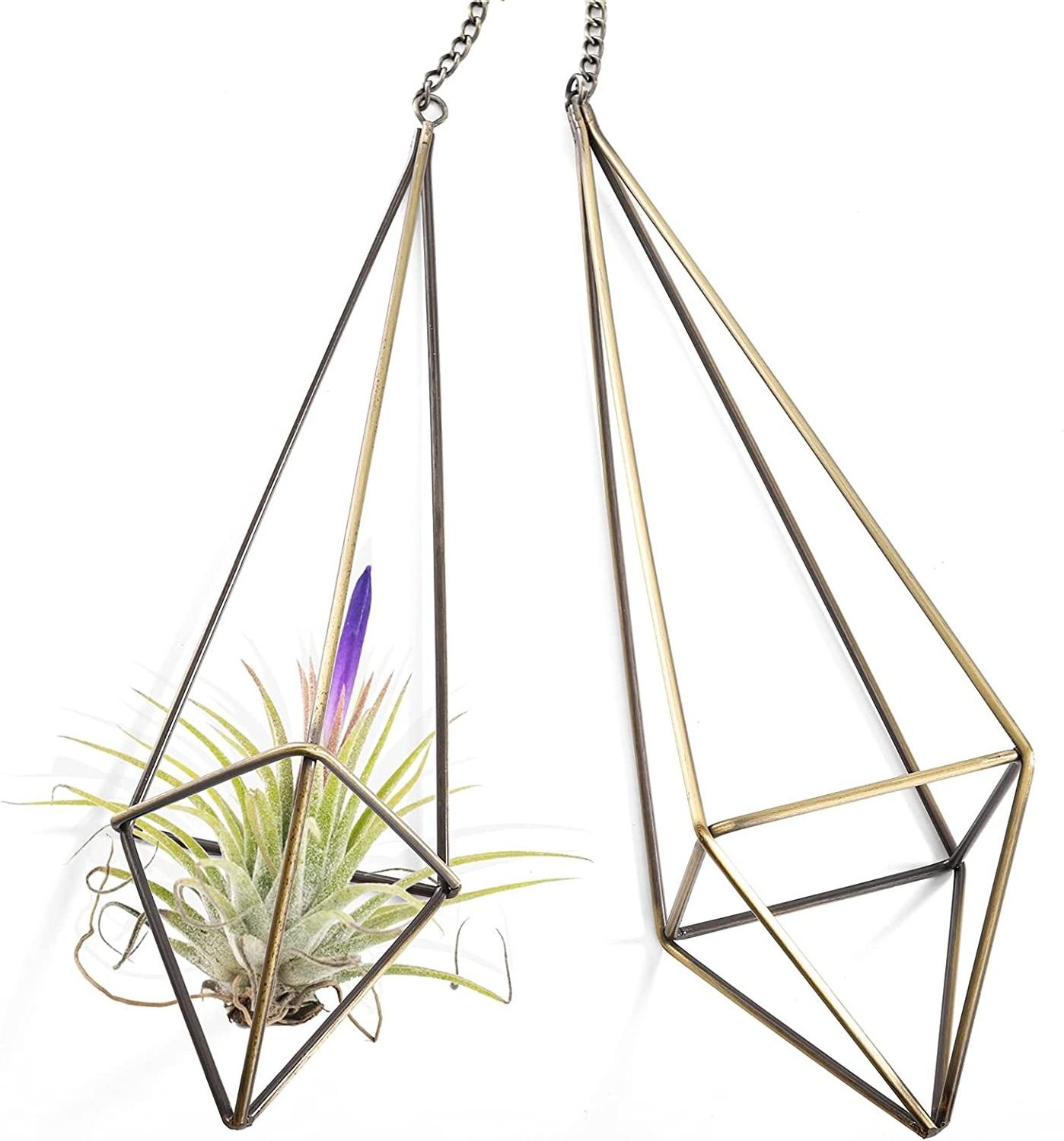 Gold Hanging Air Plants Holders Wedding Party Nursery Wall Home Decoration Metal Wall Hanging Holder