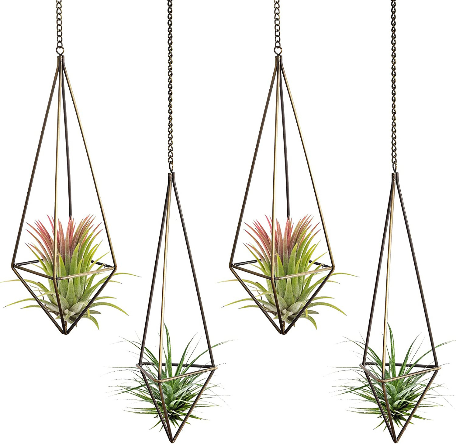 Gold Hanging Air Plants Holders Wedding Party Nursery Wall Home Decoration Metal Wall Hanging Holder