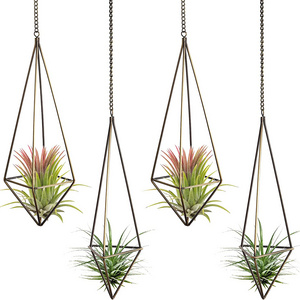 Gold Hanging Air Plants Holders Wedding Party Nursery Wall Home Decoration Metal Wall Hanging Holder