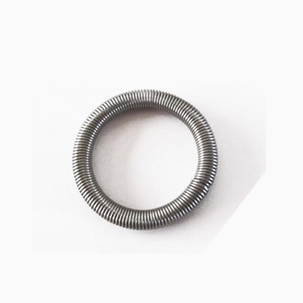 OEM Stainless Steel O Ring Spring/Circular Shape Compression Spring Sealing Ring