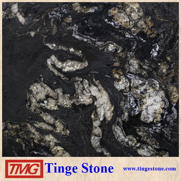 Elegant Black Granite Slab Matrix Titanium granite With Factory Price