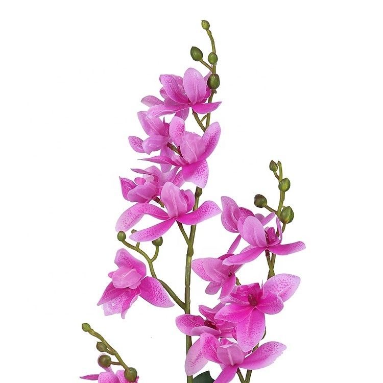 Dendrobium real touch artificial plantsThailand flowers orchid withleaves for  hotel decoration