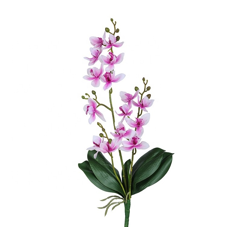 Dendrobium real touch artificial plantsThailand flowers orchid withleaves for  hotel decoration