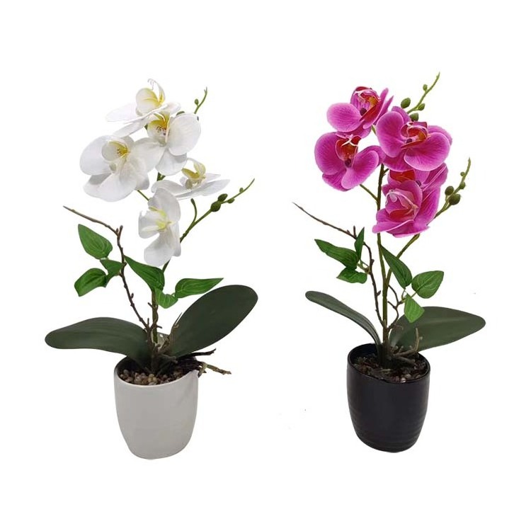 Wholesale real touch silk orchid flowers artificial white pink red butterfly orchid flower in pot