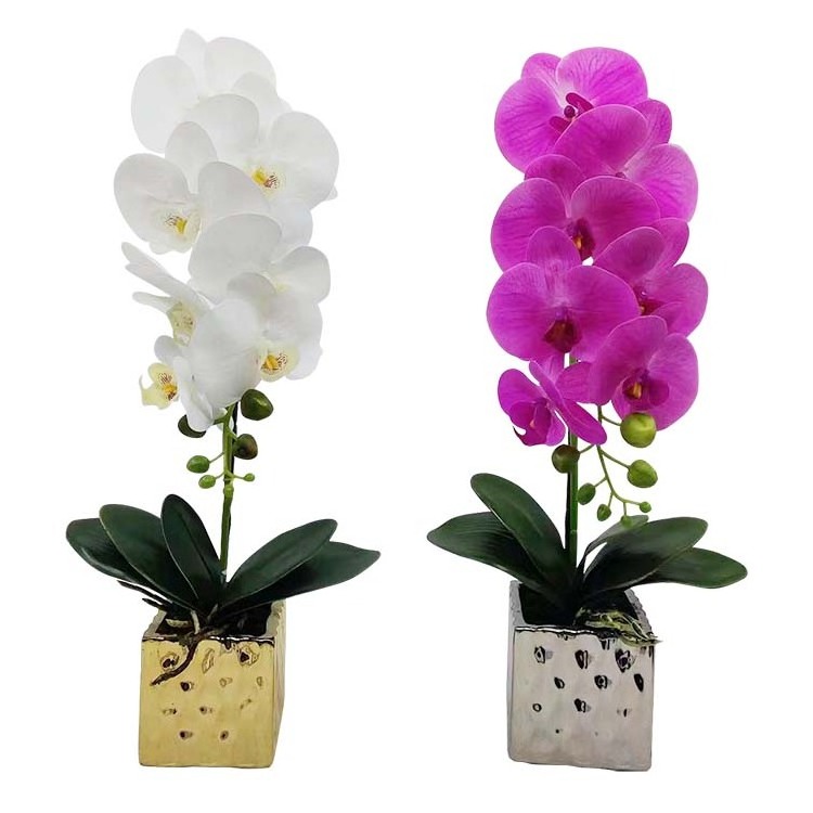 Wholesale real touch silk orchid flowers artificial white pink red butterfly orchid flower in pot