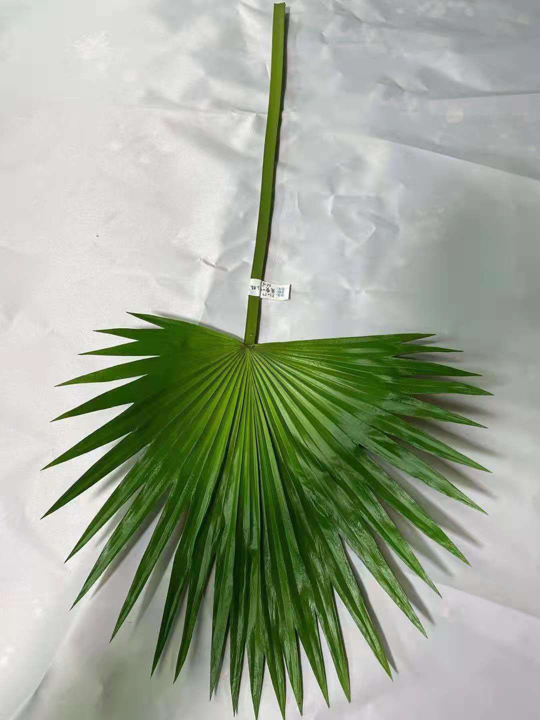 Artificial Palm Leaves Wedding Birthday Party Table Decoration UV Proof Tropical Coconut Palm Branches Leaves