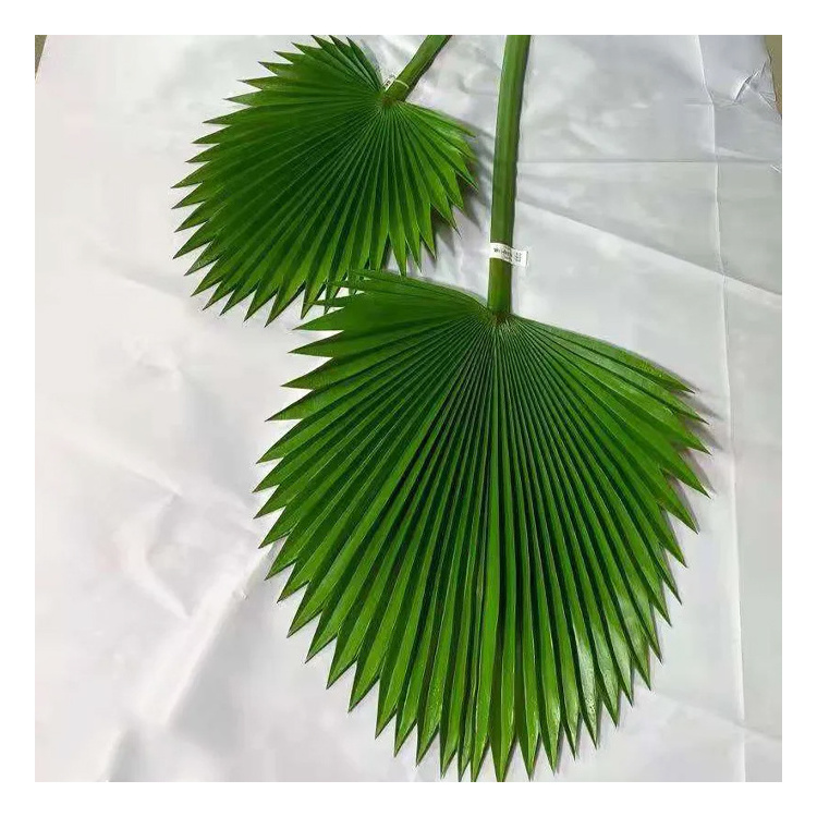 Artificial Palm Leaves Wedding Birthday Party Table Decoration UV Proof Tropical Coconut Palm Branches Leaves