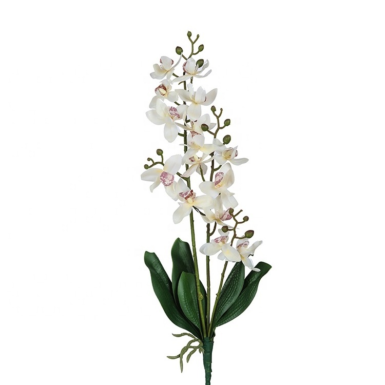 Dendrobium real touch artificial plantsThailand flowers orchid withleaves for  hotel decoration