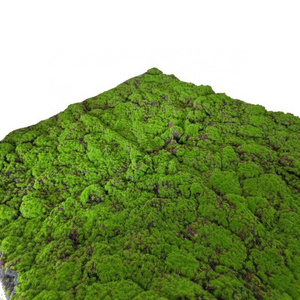 Faux UV Proof Artificial Moss Rocks Panel Plants Wall for Outdoor Indoor Decor