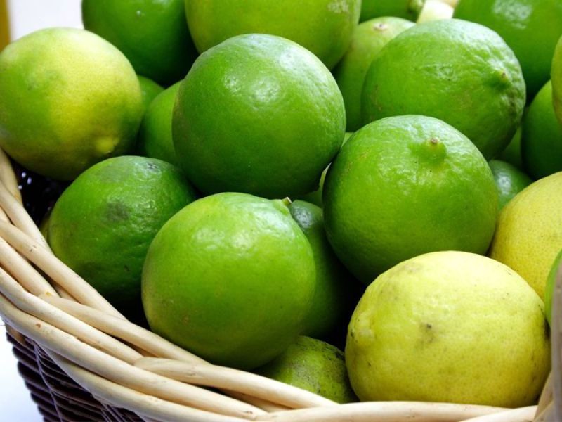 Best Exporter of Fresh Green Lemon from Vietnam by Tinimex Co,.LTD (WhatsApp: +84 336 808 683)