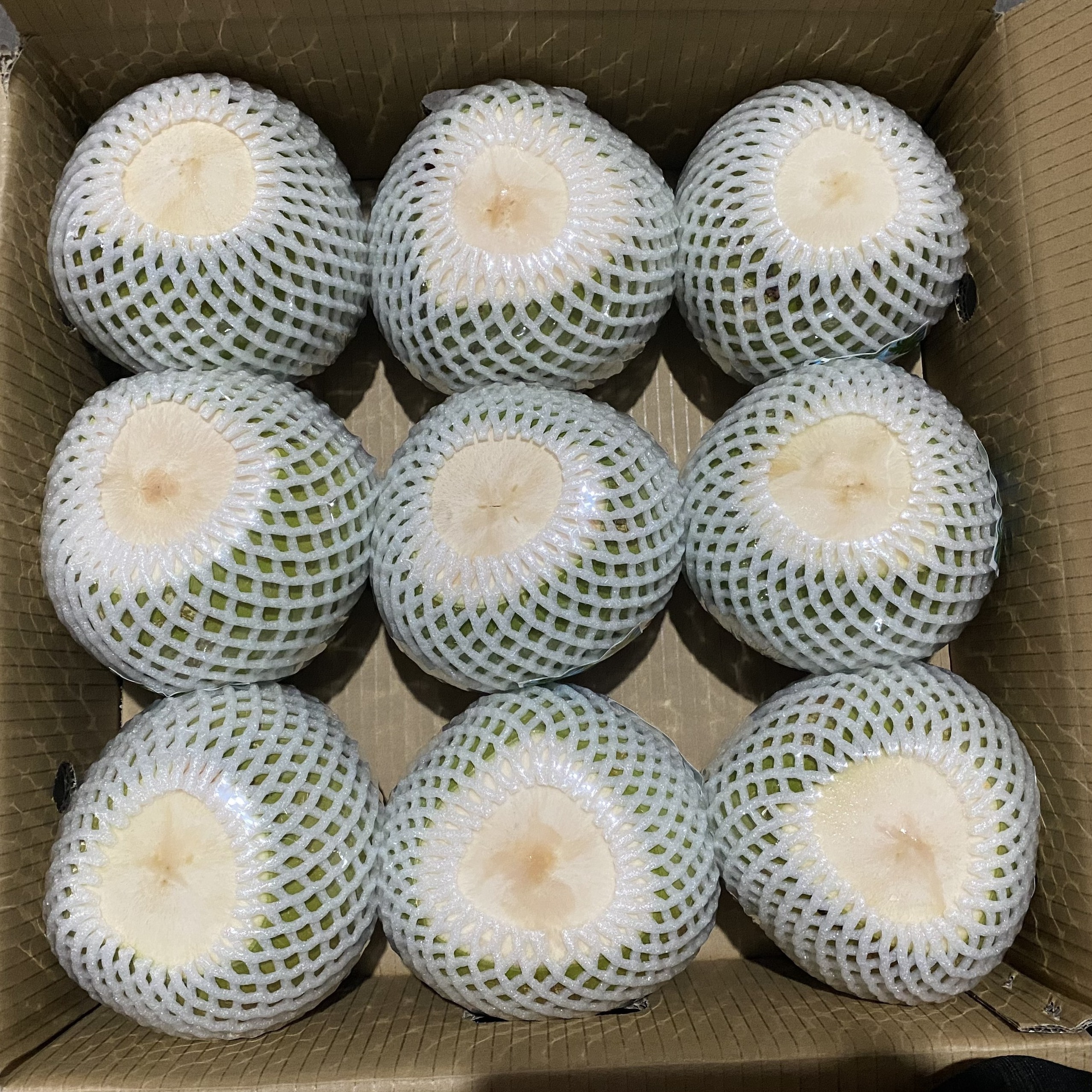 Special Quality Green Husked Coconut from Ben Tre, Vietnam by Tinimex Co,.LTD (WhatsApp: +84 366 808 683)