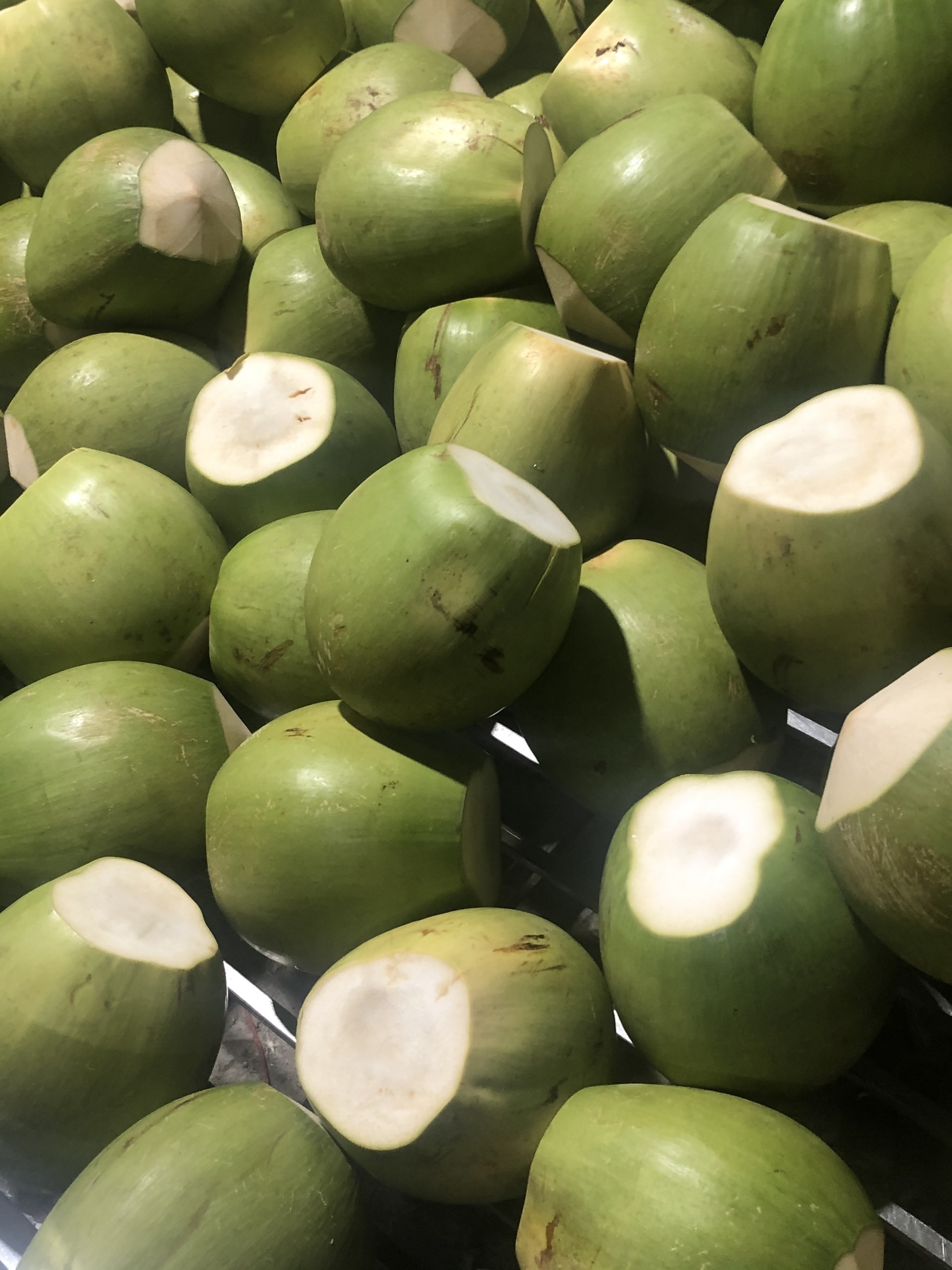 100% Fresh Organic Green Husked Coconut for Drinking by Tinimex Co,.LTD (WhatsApp: +84 366 808 683)