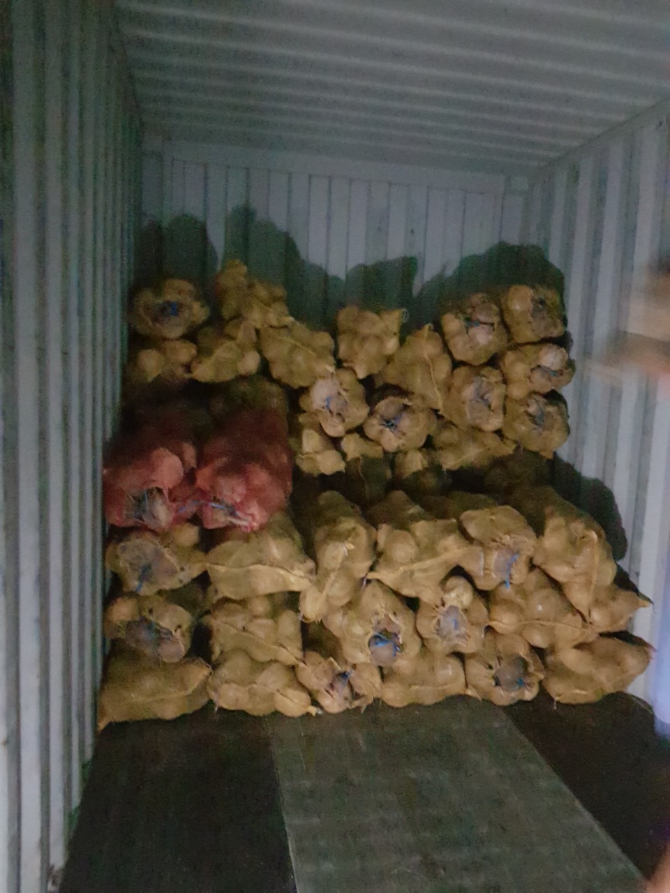 Exporter Tropical Fruit/ Dehusked Dry Coconut/ Coconut Brown Peeled From Vietnam  (Whatsapp +84 366 808 683)