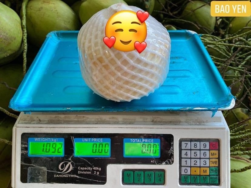 Vietnam Regional Diamond Coconut With Certified Quality 100% Fresh by Tinimex Co,.LTD (WhatsApp: +84 366 808 683)