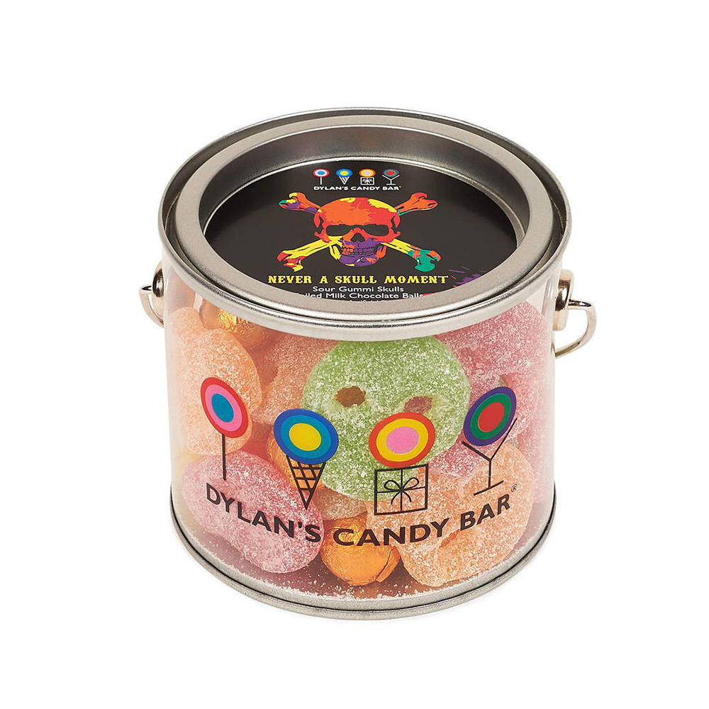 Custom round clear PET PVC plastic paint transparent tin can candy chocolate jar food container with handle