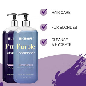 Hot Selling Hair Care Purple Shampoo Hair Color  Protection Shampoo And Conditioner For Blond And Silver Hair Shampoo Set