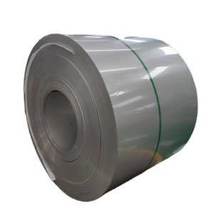 Stainless Steel Coil 304 Scrap 0.04 Mm Sus 201 With Bis 1.4310 Strip Stainless Steel Sheet And Plates