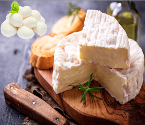 Special natural milk classic quality mozzarella/cheddar cheese from australian