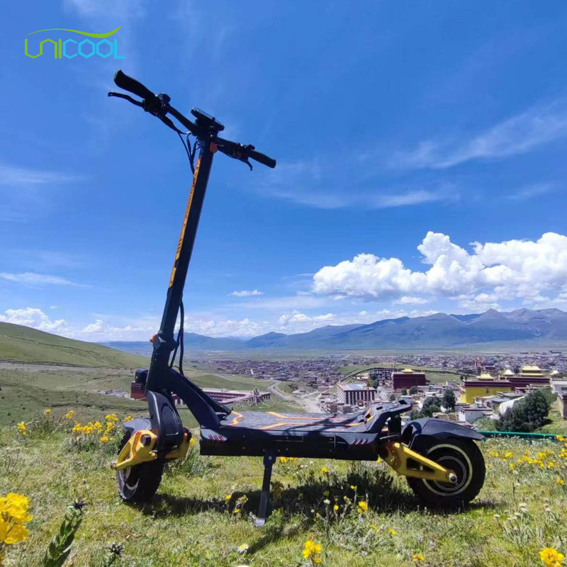 Unicool 2023 Manufacturer Hiboy Titan Hitway Scooter Electrique 2 Wheels G3 Pro Electric Scooter