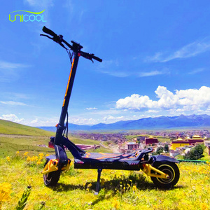 Unicool Unigogo 3200W Off Road Fat Tire 10inch Inflatable Tre Electric Kick Scooter