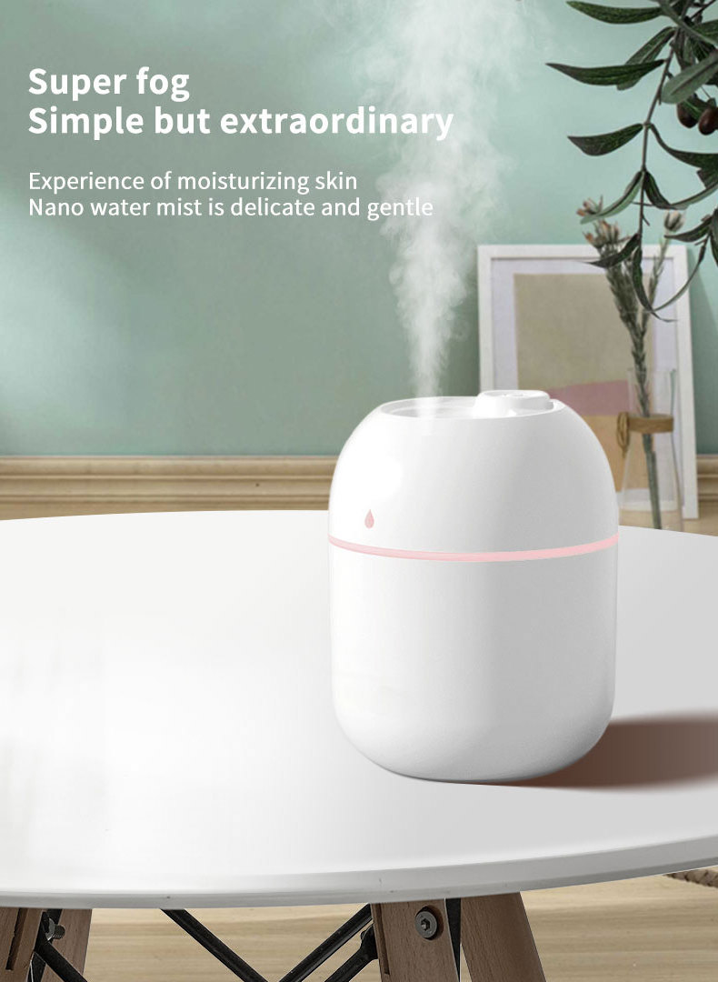 Hot Selling Creative Portable Mini LED Light Spray Humidifier 220ml Cool Mist Aroma Essential Oil Diffuser Car Air Humidifiers