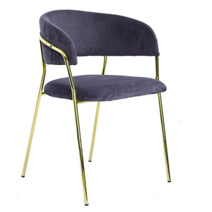 New Design Nordic Style Luxury Gold Metal Legs Creative Casual Dining Room Living Room Chairs Modern Home Furniture