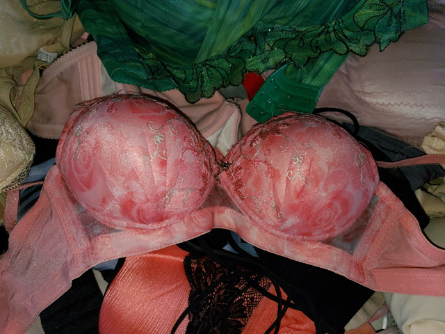 Hot sale used clothes Used Bra