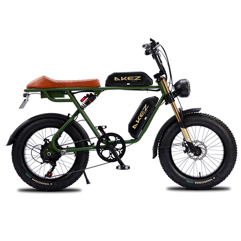 750W 48V Lithium-Powered FAT Tire Electric Bike 20-Inch City Ebike with 7-Speed Gears and Dual Battery Steel Frame