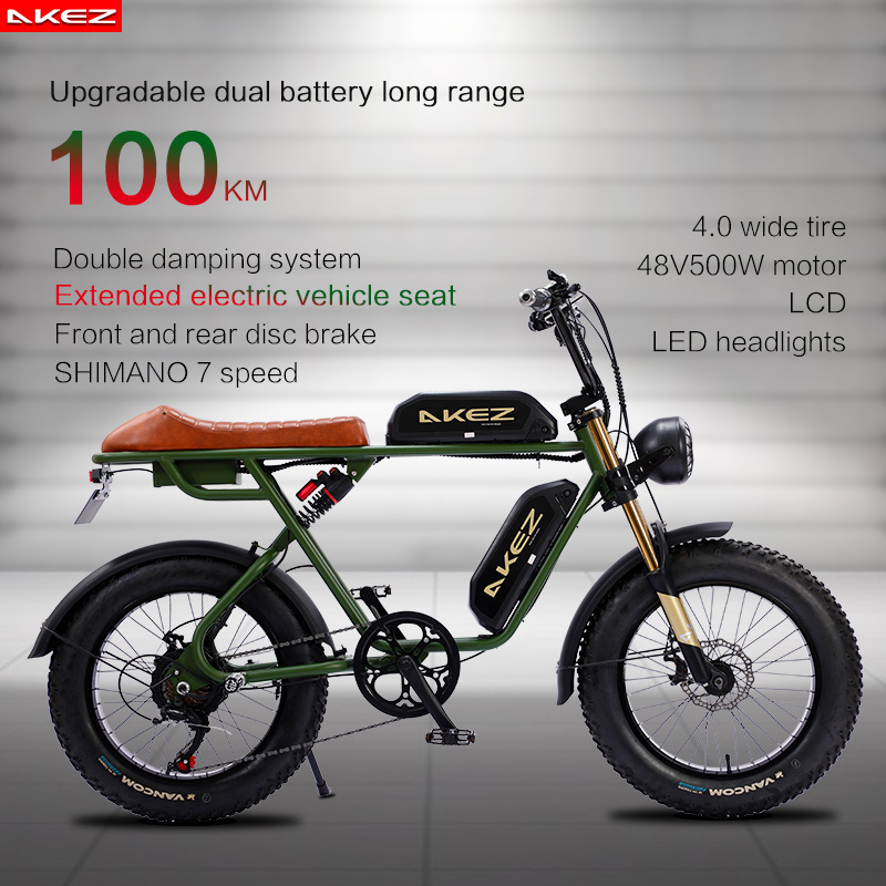 750W 48V Lithium-Powered FAT Tire Electric Bike 20-Inch City Ebike with 7-Speed Gears and Dual Battery Steel Frame