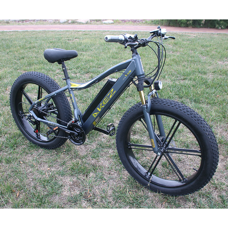 2024 48V 750W Big Power 26-Inch Fat Tire Mountain Ebike Three Ride Model with Steel Frame and down Tube Lithium Battery