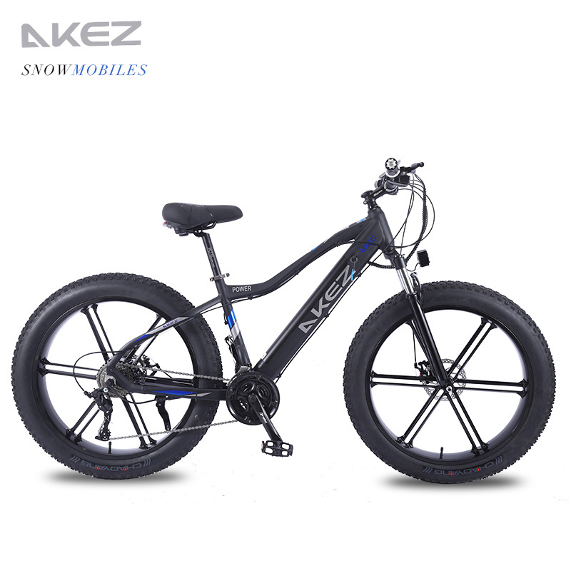 High Powerful Adult Electric Bicycle 750W Motor e Bike Fat Tire 20''*4.0 ebike 48V Battery Electric Snow Bike