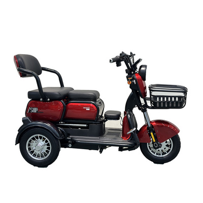 20 Inch Electric Trike adults 750W Motor Fat Tire 3 Wheel tricycle bike electro Three Wheels Adult Cargo Electric Bike