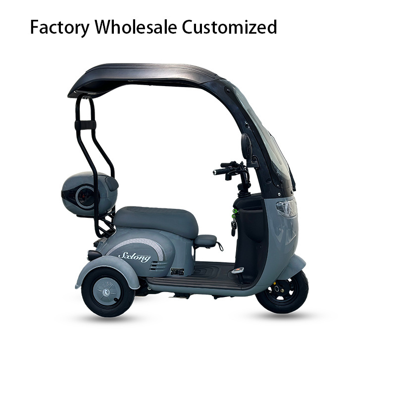 Factory Wholesale Bike Scooter Adults Passenger Fat electric bicycle tricycle China Enclosed Adult Electric Tricycle Customized