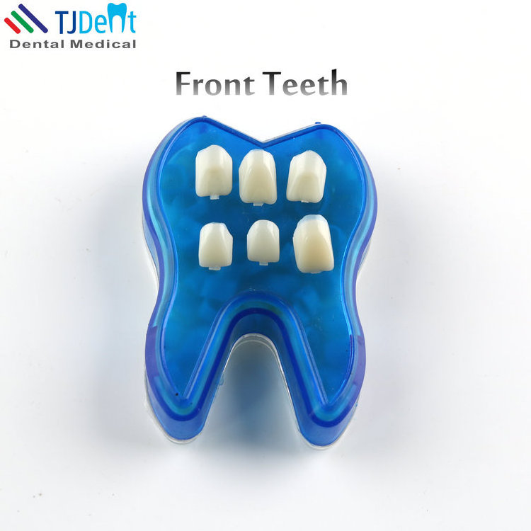 Dental Front Teeth and Back Teeth Temporary Crown