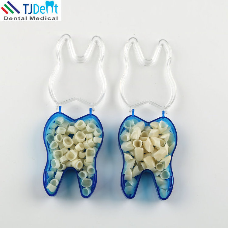 Dental Front Teeth and Back Teeth Temporary Crown