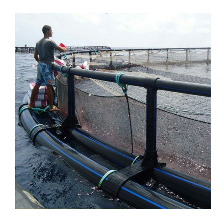 fish culture in net pen PE aquaculture fishing farming Cage