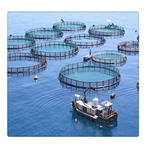 Hot sale aquaculture fish culture floating net cage in the sea cage culture system with good quality