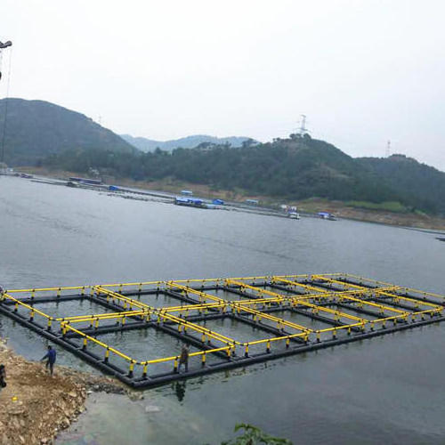 Lake/river Floating Fish Farm Cage Culture Lobster Traps Fishing Cage