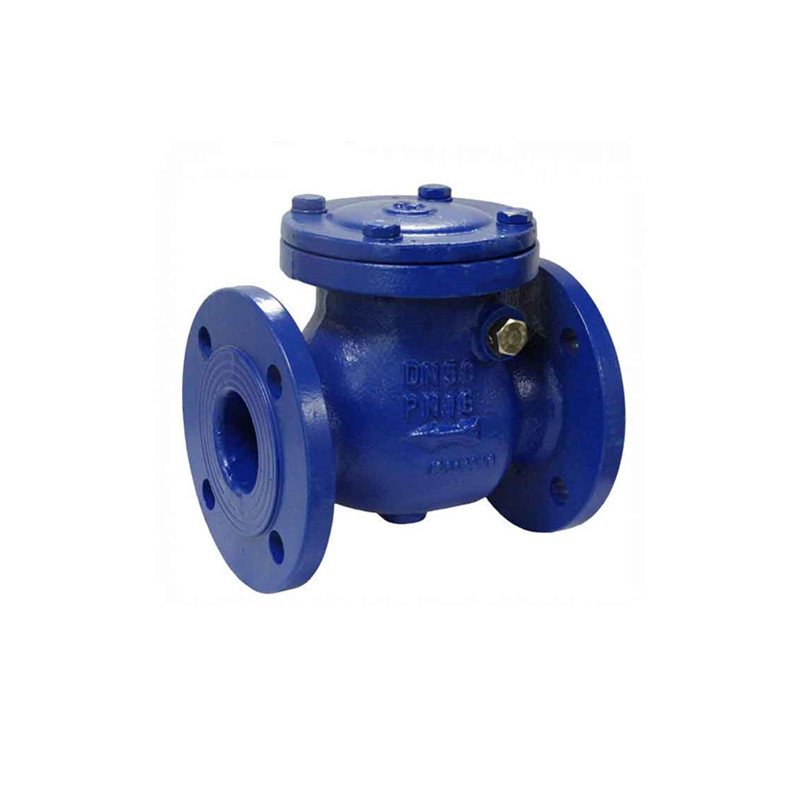 ISO 4064 class b  DN 100 4 inch smart industrial non return valve