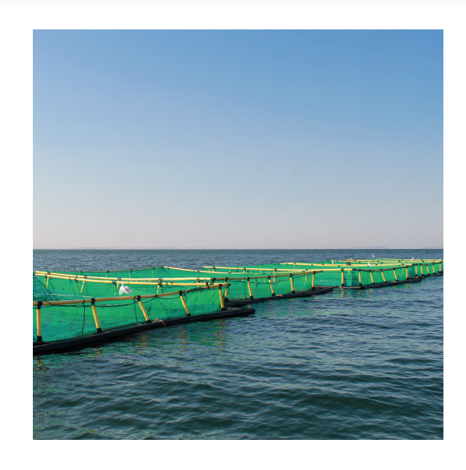 fish culture in net pen PE aquaculture fishing farming Cage