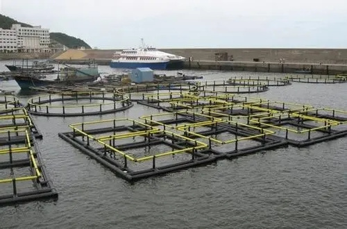 Lake/river Floating Fish Farm Cage Culture Lobster Traps Fishing Cage