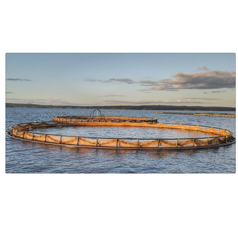 Hot sale aquaculture fish culture floating net cage in the sea cage culture system with good quality